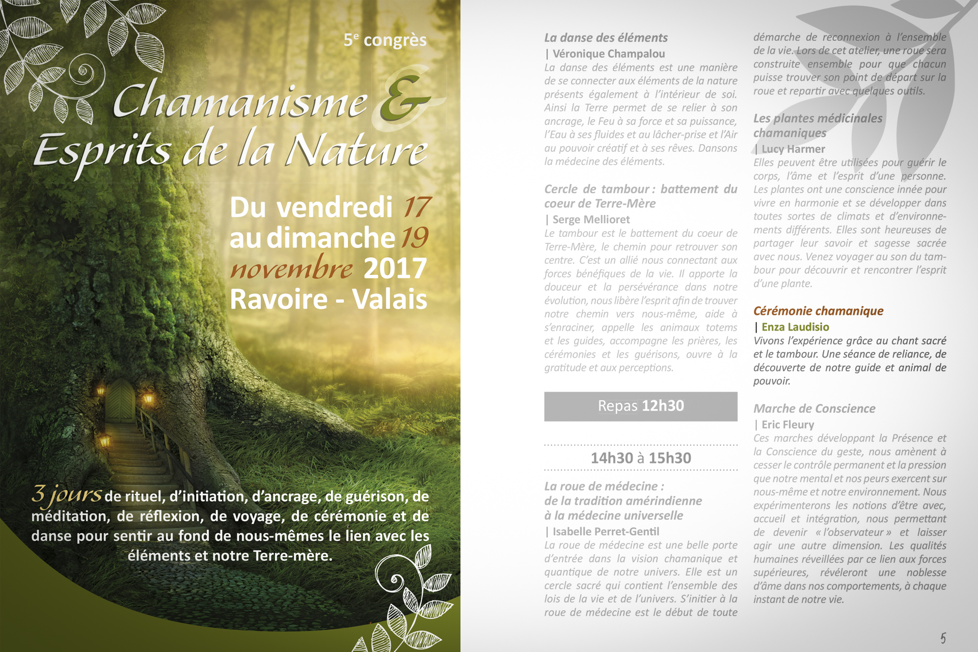 Plume d'aigle Chamanisme