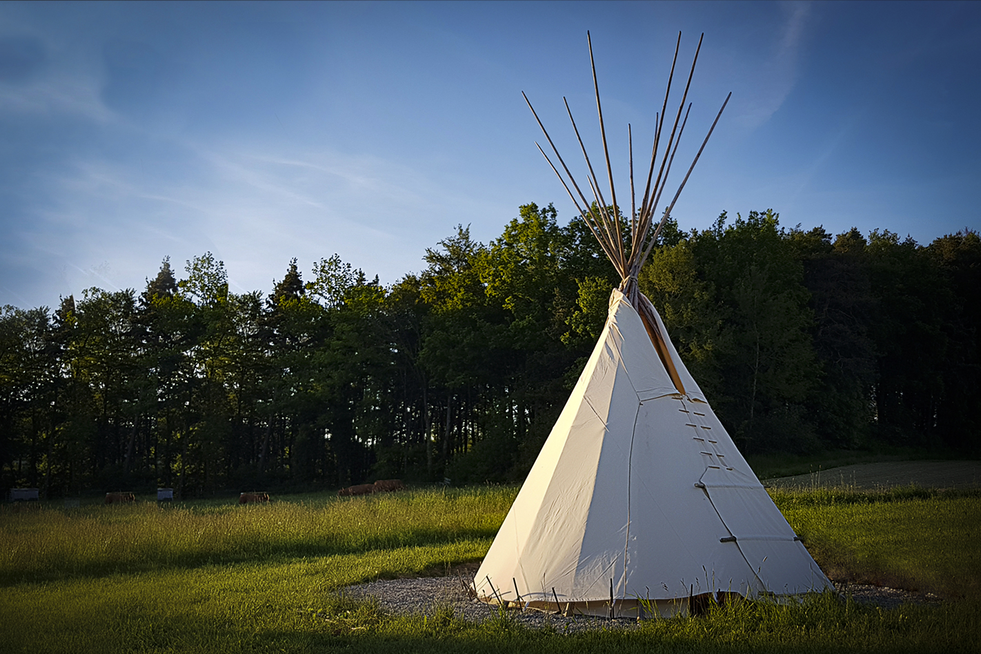  Plume d'aigle Tipi